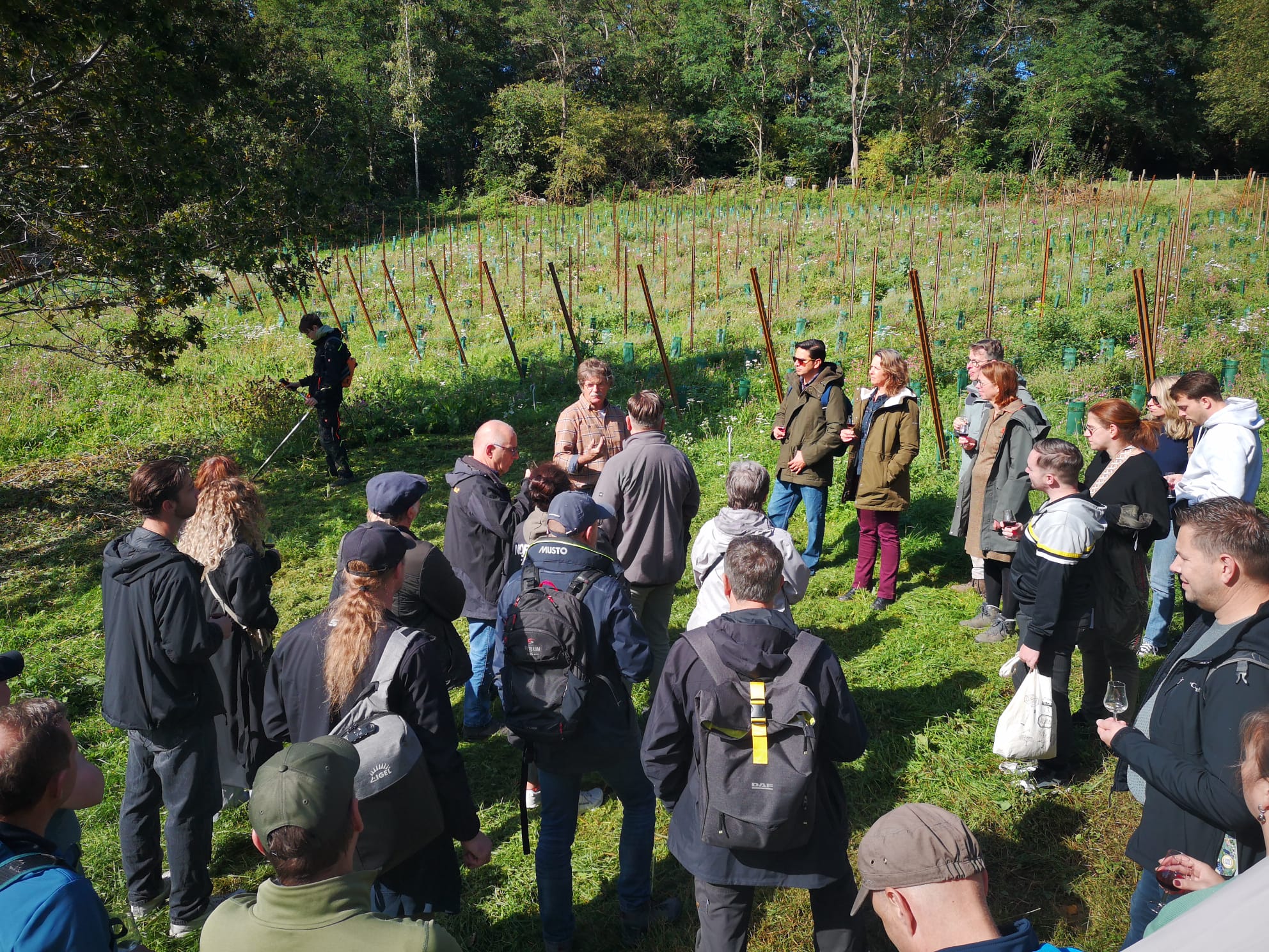 Rondleiding met proeverij op wijndomein watersley