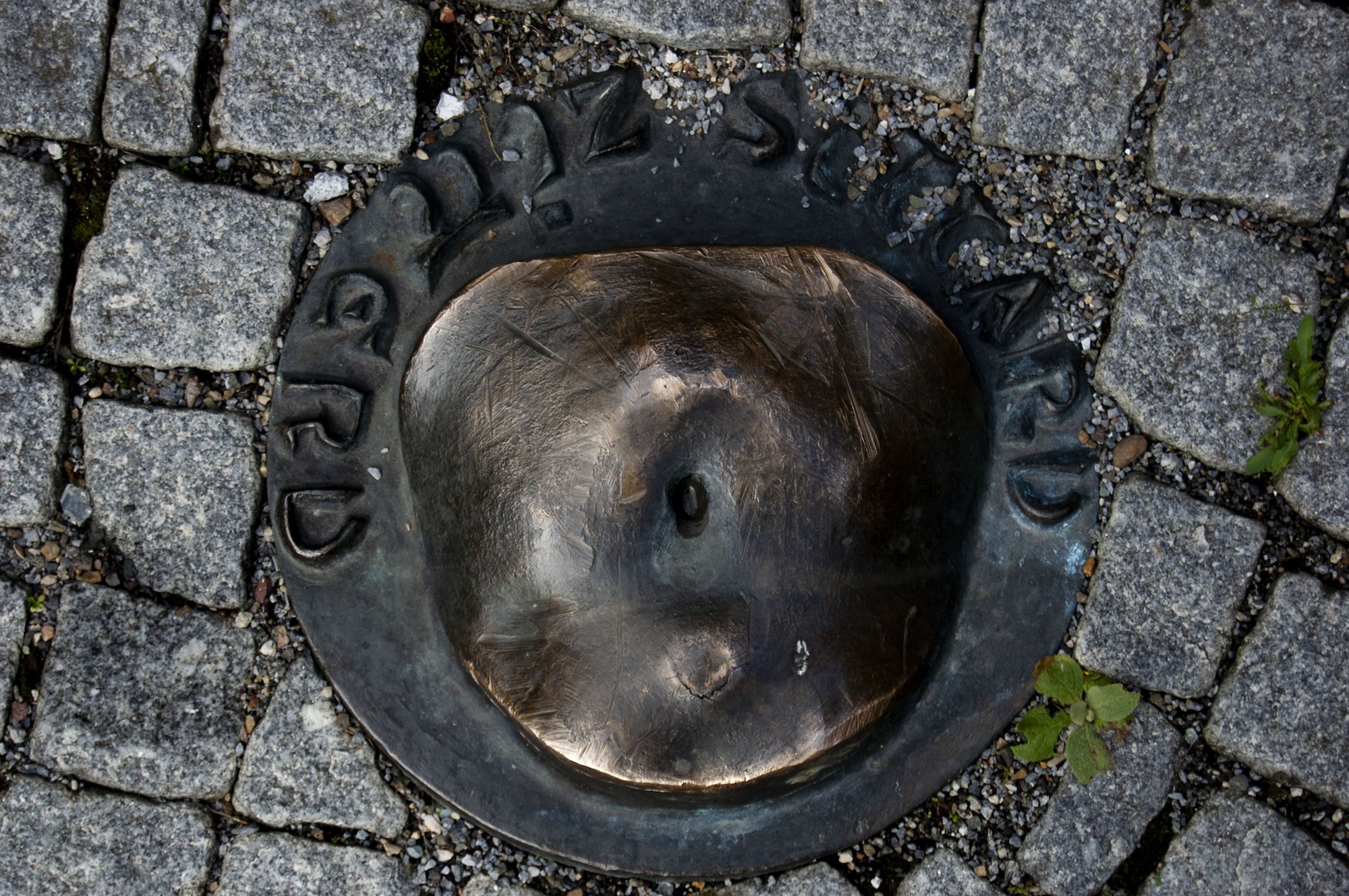 Navel van Limburg